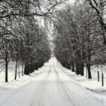 Winter landscape frosty trees in the forest. Nature covered with snow. Beautiful seasonal natural background.